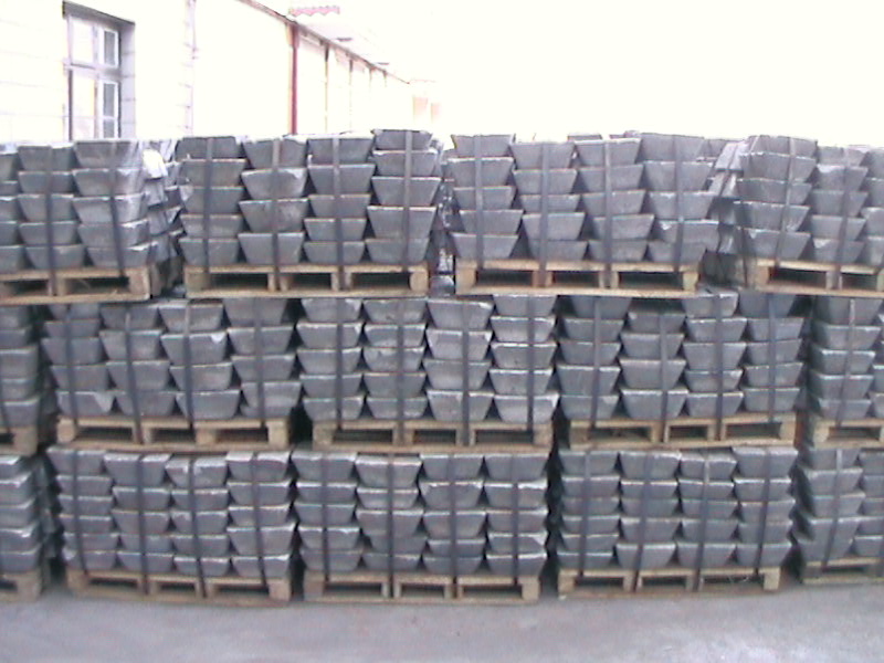 20090813104130394041.jpg